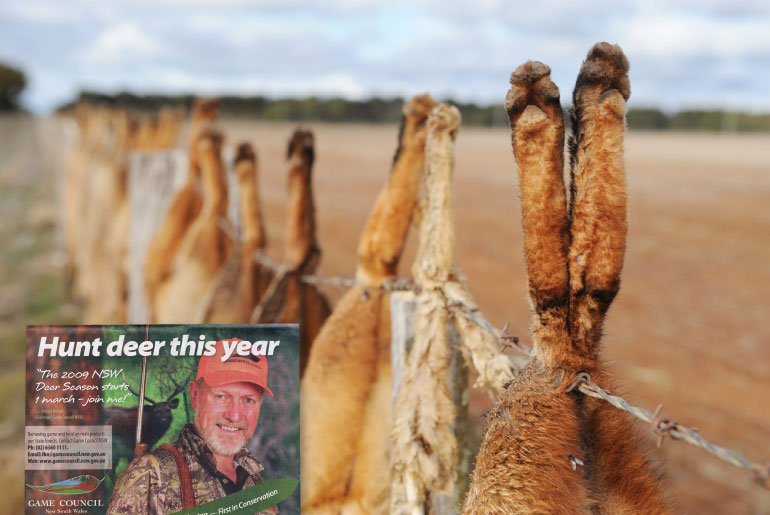 Is hunting conservation?
