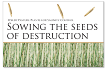 Report: sowing the seeds of destruction