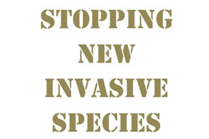 Stopping new invasive species
