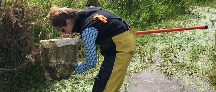 Ecology Australia’s Katie Stevenson in search of the smooth newt in Melbourne. Photo: Andrew Cox