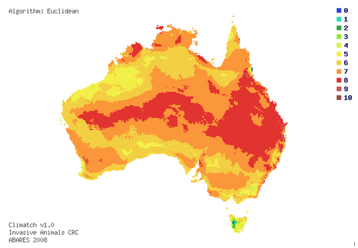 Figure 1: Indication of areas in Australia suitable for red fire ants based on climate potential. 10 indicates a close match. Map produced by ABARES in 2008 for the national red fire ant eradication program.