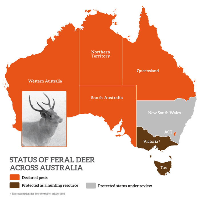 Status of feral deer across Australia