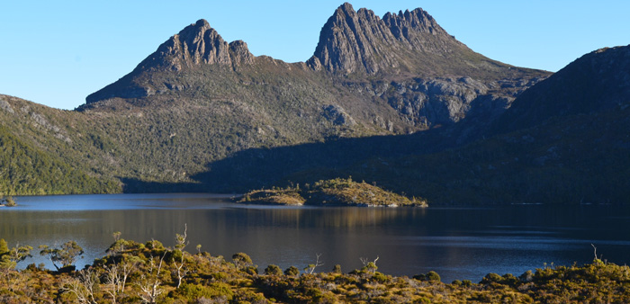 It's been estimated Tasmania's feral deer population now covers 30 per cent of the state and has started to impact on the Tasmanian Wilderness World Heritage Area.