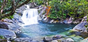 The discovery of Koster's Curse within Wooroonooran National Park appears to be an isolated incident. The World Heritage listed park is part of the Wet Tropics World Heritage Area and home to Josephine Falls. Photo: Michael Dawes (CC BY-NC 2.0)