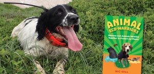 Jazz the fox detection dog is just one of many furry friends featured in Nic Gill's new book Animal Eco-Warriors: Humans and Animals Working Together to Protect Our Planet.