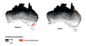 Current and potential distribution (greyscale) of the six deer species established in the wild in Australia. The potential distributions were estimated using the Climatch algorithm (Invasive Animals CRC 2011).