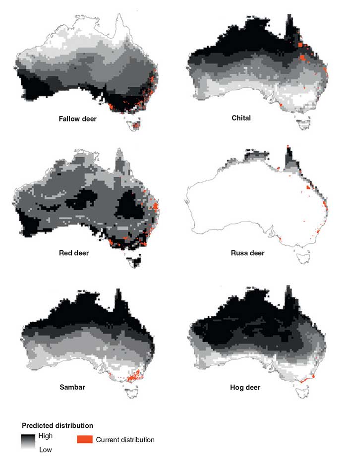 Current and potential distribution (greyscale) of the six deer species established in the wild in Australia. The potential distributions were estimated using the Climatch algorithm (Invasive Animals CRC 2011).