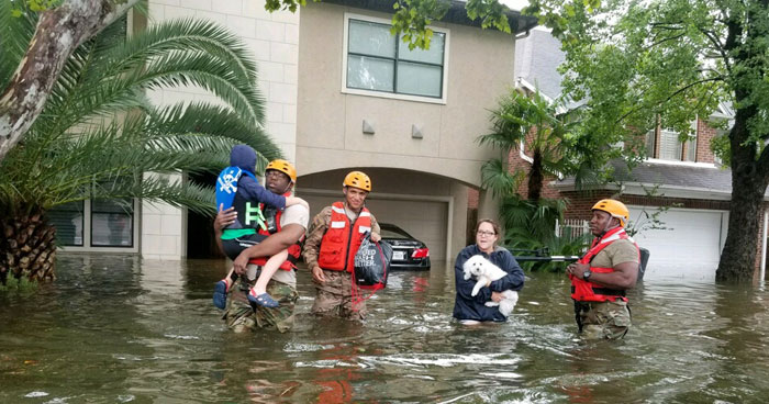 Texas National Guard soldiers arrive in Houston, Texas to aid citizens in heavily flooded areas from the storms of Hurricane Harvey. Frighteningly, rafts of fire ants were also seen on the rising floodwaters. Photo: Lt. Zachary West, 100th MPAD | Flickr | CC BY-ND 2.0