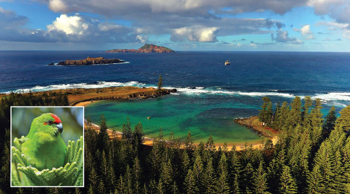 Norfolk Island: Why residents want to ditch Australia for New Zealand