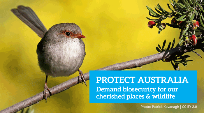 Protect Australia - Invasive Species Council