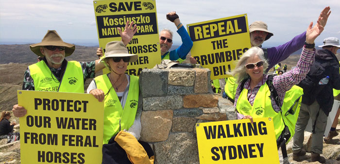 The Save Kosci walkers reach the summit of Mt Kosciuszko.