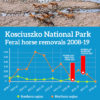 Kosciuszko National Park – feral horses removed 2008-19
