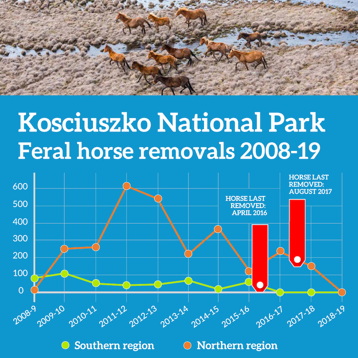 Kosciuszko National Park – feral horses removed 2008-19