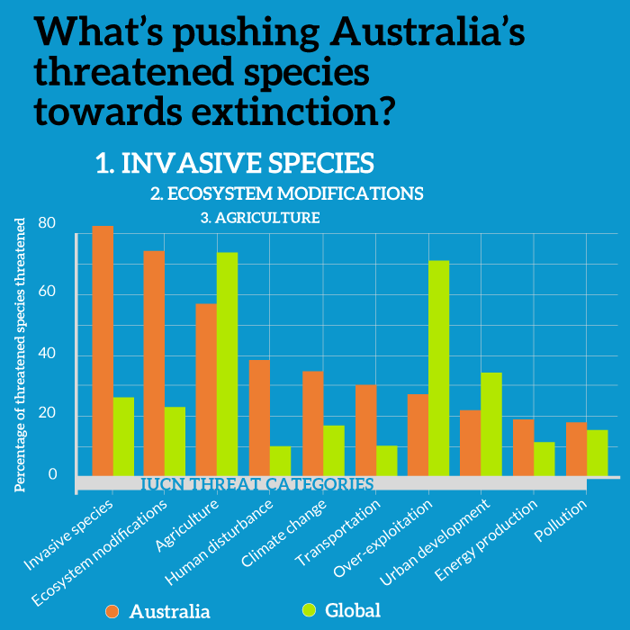 Four in every five Australian threatened species imperilled by invaders ...