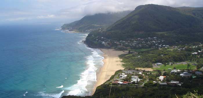 The view out over Stanwell Park in NSW. Feral deer have been destroying local bushland. Photo: David McKelvey | CC BY-NC-ND 2.0