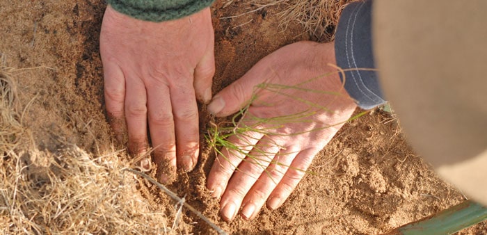 Land restoration. Photo: Brett Wheaton