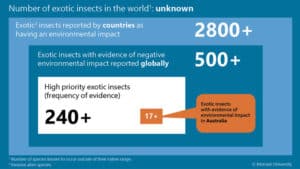 The process for refining the global species pool of invasive insect species.