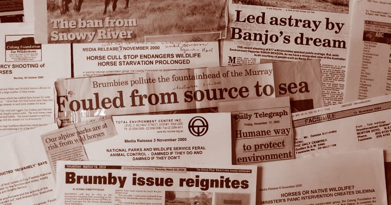 Newspaper clippings over the years reflect the sad state of feral horse control in NSW.