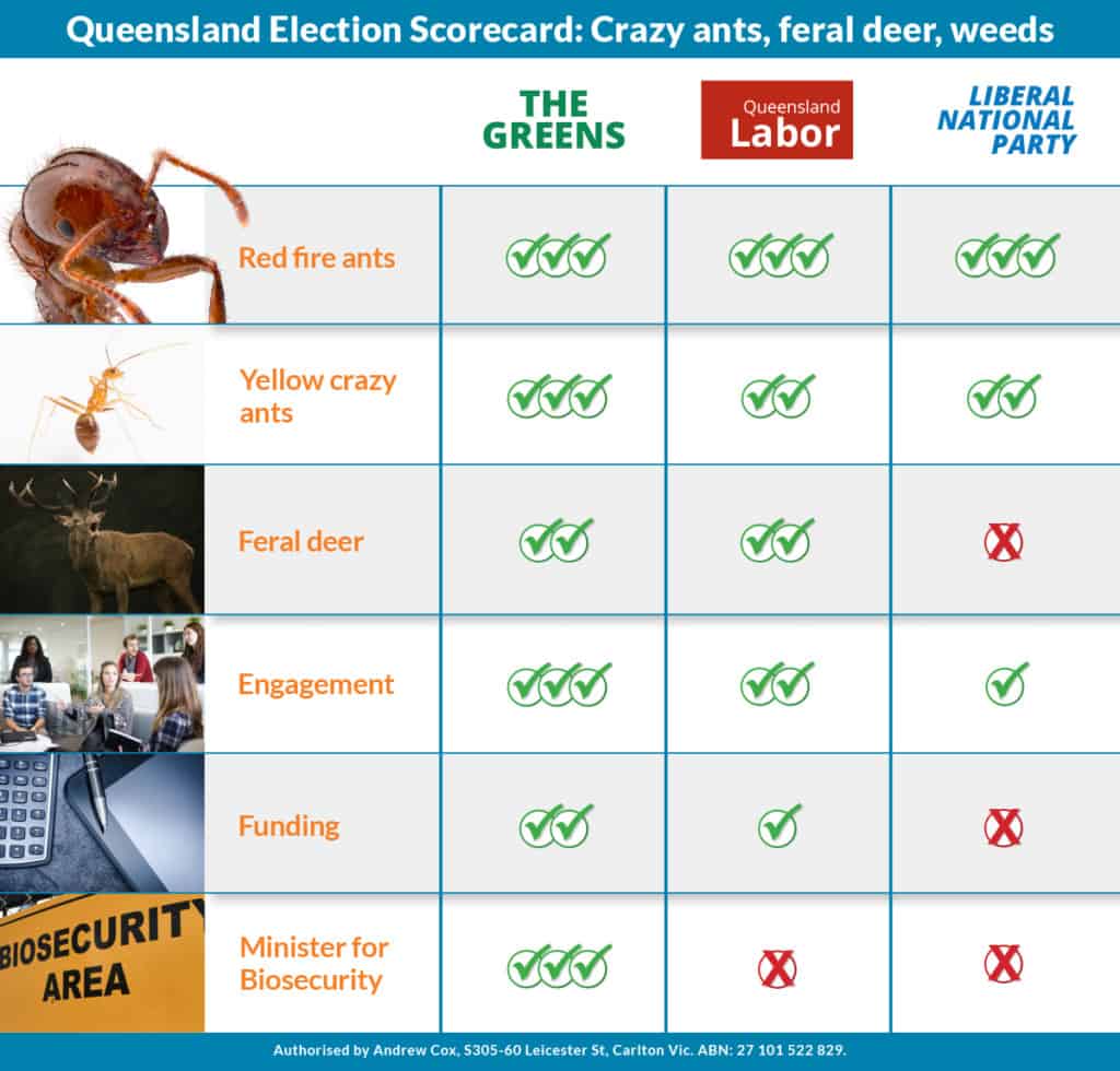 Queensland election scorecard: Policy commitments on yellow crazy ants, feral deer and weeds.