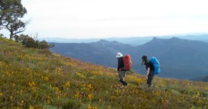 Australian Alps Walking Track in the Alpine National Park. Photo: Peter Conroy