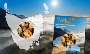 Action-Tasmanian-feral-deer-conotrol