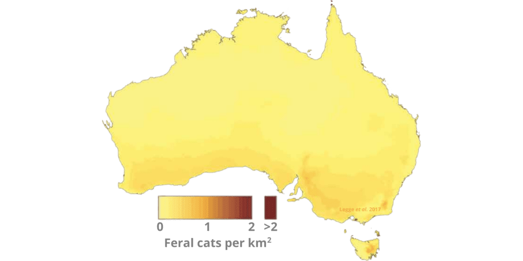 Dry Conditions (1.4 million feral cats in the bush)