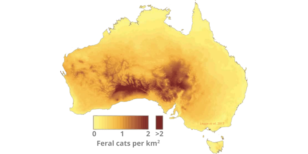 Wet Conditions (5.6 million feral cats in the bush)