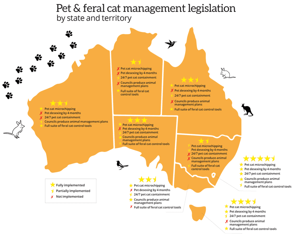 cats-in-australia-invasive-species-council