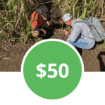Donate $75