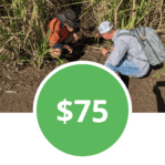 Donate $75