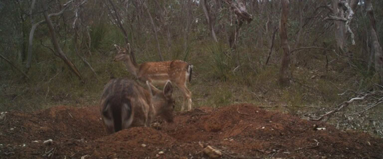 MR Header banner (1920 x 800 px) (28)