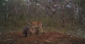 Photo: Lee Williams.-MR-Featured-360x240-24