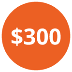 Donate $300
