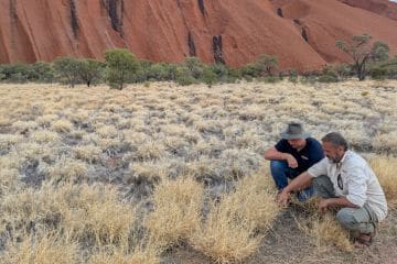 MR Featured 360x240 (25)