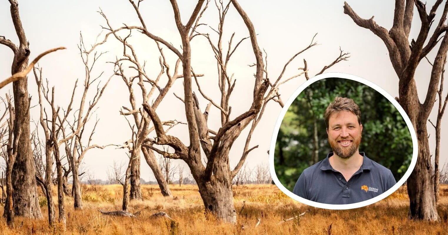 Opinion: Australia’s environment shouldn’t be a culture war. Right now ...