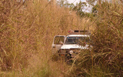 Ute in gamba grass